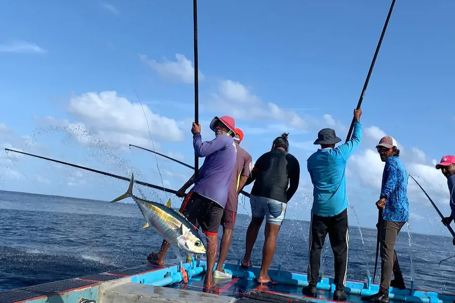 މިދިޔަ ހަފްތާގައި 218 ދޯންޏަކުން މަސްކިރުވާ، 9.3 މިލިޔަން ރުފިޔާ: މިފްކޯގެ ތަފާސްހިސާބު