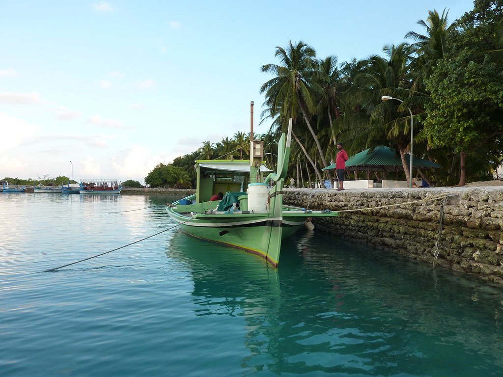ރައްޔިތުން އެދުމުން, ދޮންފަނު ބިން ހިއްކުމުގެ މަޝްރޫޢު ކުރިއަށް ނުގެންދަން ރައީސް ނިންމަވައިފި