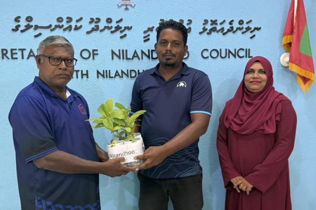 ފަސް މިލިޔަން ގަސް އިންދުމުގެ ޕްރޮގްރާމުގެ ދަށުން ހަތް އަތޮޅަކަށް ހައިވަކަރު ގަސް!
