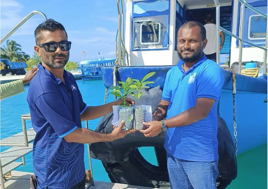 ހައިވަކަރު ގަސް ބެހުން ކުރިއަށް: އެމްޓީސީސީ އާ ގުޅިގެން ކ، އއ، އދ، އަތޮޅުގައި ގަސް ބެހުން ނިމިއްޖެ