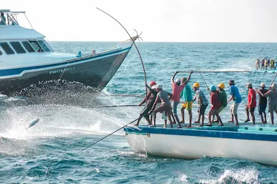 މަސްވެރިކަމުގެ މޫސުމަށް ސަރުކާރުން ގިނަ ތައްޔާރީތަކެއް!