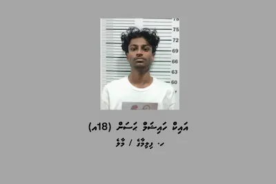 ބާރަށް ކާރު ދުއްވި ކަމަށާއި ފުލުހުންގެ ސައިކަލުގައި ކާރުން ޖެއްސި ކަމަށް ހައްޔަރުކުރި ޒުވާނާ ދޫކޮށްލައިފި