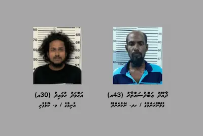 މަސްތުވާތަކެއްޗާއެކު ދެ ރަށަކުން ދެ މީހަކު ހައްޔަރަށް!
