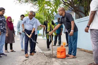 ފަސް މިލިޔަން ގަސްއިންދުމުގެ ޕްރޮގްރާމްގެ ދަށުން ކުޑަހުވަދޫގައި 44 ގަސް އިންދައިފި