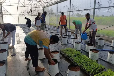 މެޕްގެ ގްރާންޓުގެ ދަށުން 6 ދަނޑުވެރިންނާއިއެކު އެއްބަސްވުމުގައި ސޮއިކޮށްފި