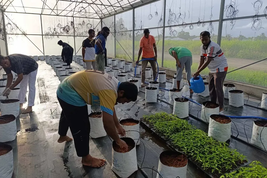 މެޕްގެ ގްރާންޓުގެ ދަށުން 6 ދަނޑުވެރިންނާއިއެކު އެއްބަސްވުމުގައި ސޮއިކޮށްފި