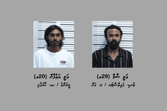 މަސްތުވާތަކެތި ގެންގުޅެ، ބަނގުރާ ވިއްކައި ވިޔަފާރިކުރާކަމަށް ތުހުމަތުކުރެވޭ ދެ މީހަކު ހައްޔަރުކޮށްފި