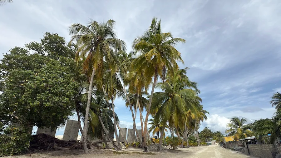 ފިޔޯރީގައި ރުކެއް ކަނޑަން އުޅުމުގެ ތެރޭ ޒުވާނެއްގެ މޭކަށިގަނޑު ބިންދައިގެން ގޮސްފި؛ އިތުރު ފަރުވާއަށް މާލެ ގެނެވިފައި