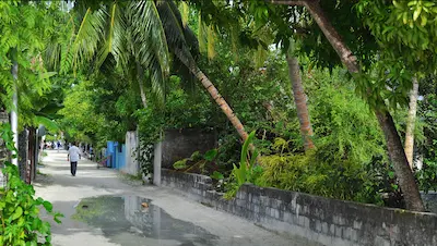 އައްޑޫ ސިޓީ ހިތަދޫގައި ދާރުލްއާސާރައެއް ގާއިމު ކުރަނީ