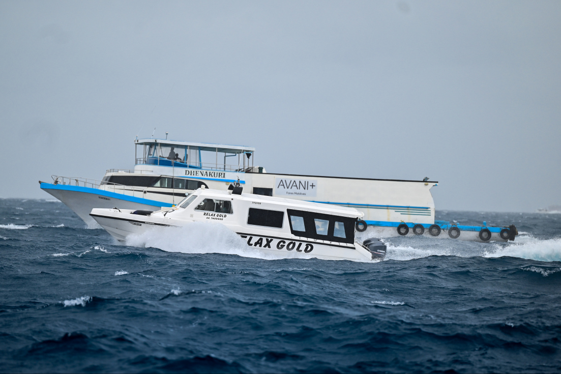 ވައި ގަދަވާނެ ކަމަށް ލަފާކޮށް، ރާއްޖޭގެ ބޮޑު ބަޔަކަށް ރީނދޫ ސަމާލު ނެރެފި