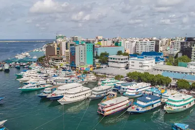 ނޯތު ހާބަރުން ތެލާއި އައިސް ލިބޭނެ އިންތިޒާމް ހަމަޖެހުމުން މަސްވެރިންނަށް ބޮޑު ލުއިފަސޭހައެއް!