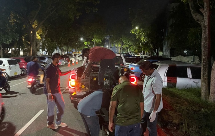 އޮޅުހިޔާގައިމިހާރު އެއްފަހަރާ 100 ބުޅާ ކަރަންޓީނު ކުރެވޭނެ