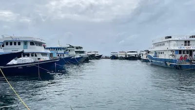 ނޯތު ހާބަރުން މިހާރު ނަގާ ފީގެ އިތުރުން އެހެން ފީއެއް ނުނަގާނެ، އިތުރު ޖާގަ ލިބި ލުއިފަސޭހަ ލިބިގެންދާނެ
