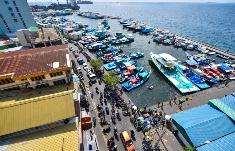 ނޯތު ހާބަރު ސަރަހައްދު ހިންގުން އެއްކޮށް އެމްޕީއެލް އަށް
