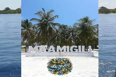 ފީނަން ގޮސް އުޅެނިކޮށް ގެއްލުނު 15 އަހަރުގެ ކުއްޖާ ނިޔާވެފައި އޮއްވާ ފެނިއްޖެ