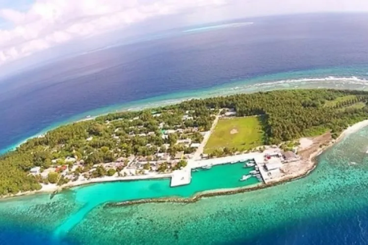 މާޅޮހުގައި އުމުރުން ދުވަސްވީ ދިވެއްސަކު މަރާލައިފި