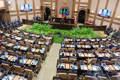 ރައްޔިތުންގެ ފެންނަ ނުފެންނަ ވޯޓަށް އެހުމުގެ ބިލު ދިރާސާކުރުމަށް ކޮމިޓީއަށް!