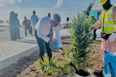އައު ޓަރމިނަލް ވަޒީރު ޠާރިޤް ބައްލަވައިލައްވައި، ގަސްއިންދަވައިފި