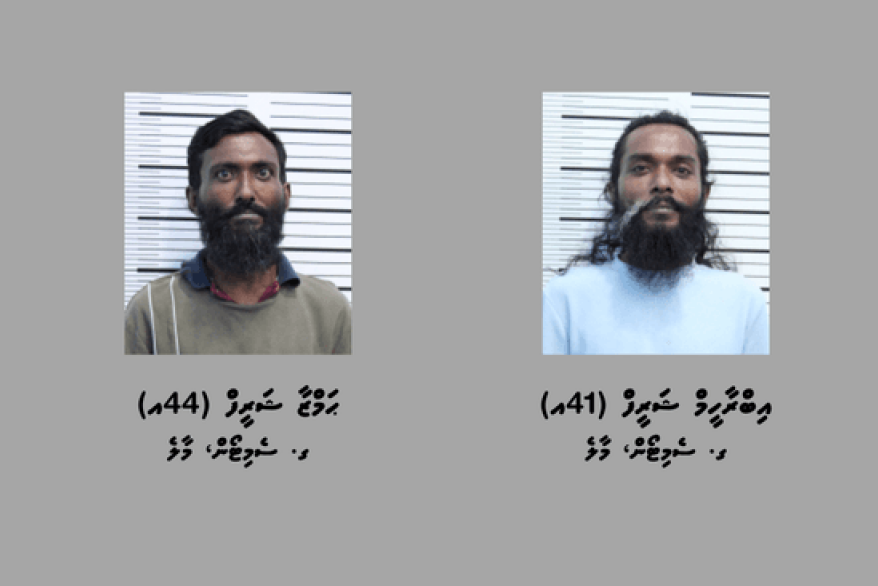 މަސްތުވާތަކެތީގެ ވިޔަފާރިކުރަމުން ދިޔަ ދެބެއިން ހައްޔަރުކޮށްފި