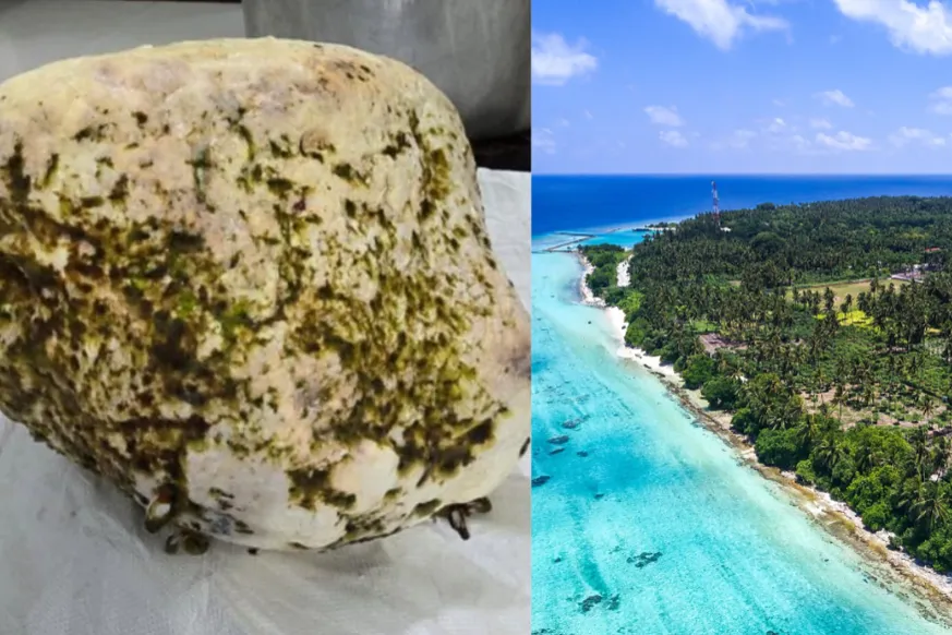 މަހަށް ނުކުމެ އުޅުނު 3 ޒުވާނަކަށް ބޮޑު މާވަހަރެއް ފެނިއްޖެ، ލަފާ ކުރަނީ ހުދަންބަރެއް ކަމަށް،