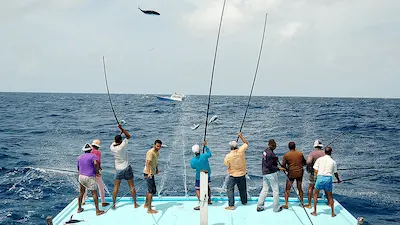 މިމަހުގެ މިހާތަނަށް މަސްވެރިންނަށް 46.4 މިލިއަން ރުފިޔާ ދޫކޮށްފި