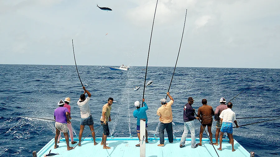 މިމަހުގެ މިހާތަނަށް މަސްވެރިންނަށް 46.4 މިލިއަން ރުފިޔާ ދޫކޮށްފި