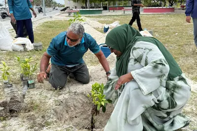 ފަސް މިލިއަން ގަސް އިންދުމުގެ މަޝްރޫޢު: ރ. ދުވާފަރާއި އުނގޫފާރުގައި ޚާއްސަ ޙަރަކާތެއް ކުރިއަށްގެންގޮސްފި