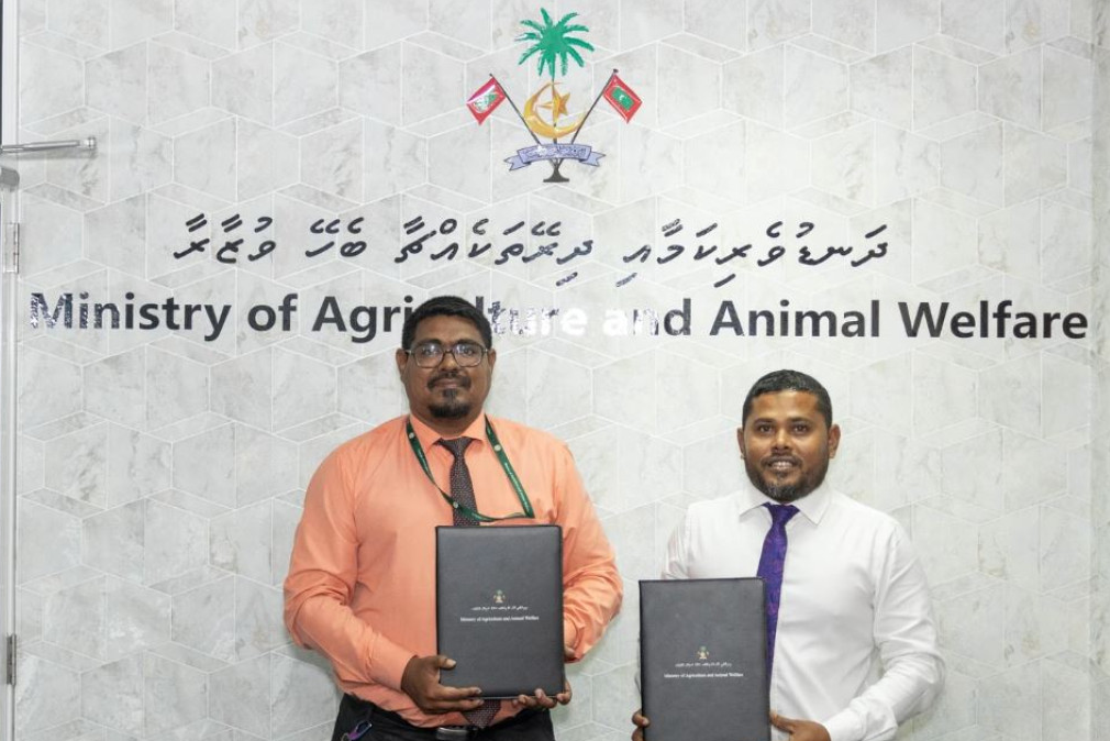 ކޮނޑޭގައި ފުޑް ސެކިއުރިޓީ ގެ ޤައުމީ މަޝްރޫޢެއް ފެށުމަށް ބޭނުންވާ ބިން, ދަނޑުވެރިކާމާއި ބެހޭ ވުޒާރާއާ ހަވާލުކޮށްފި