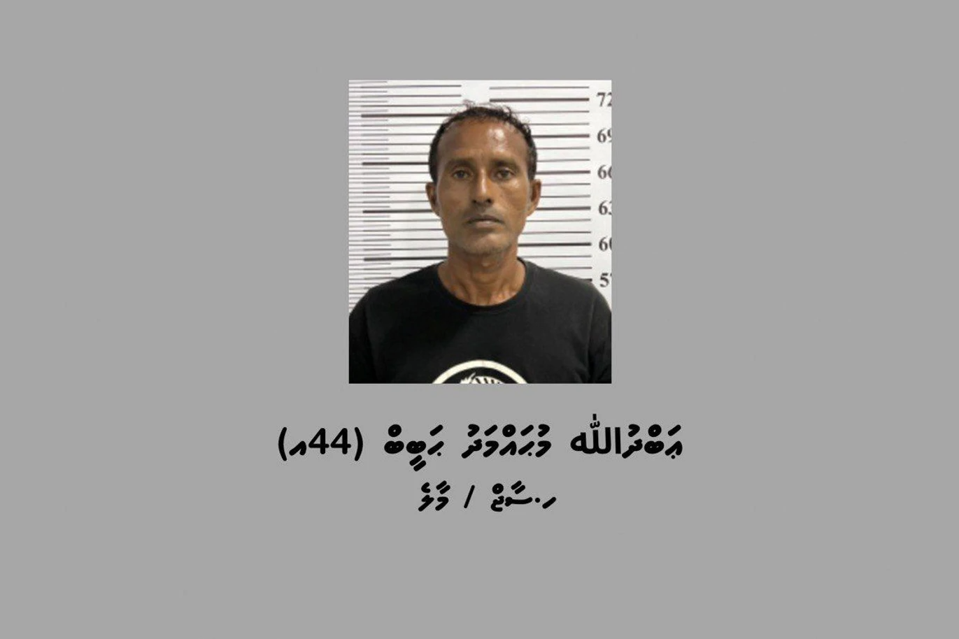 ފުނަދޫ އިން މަސްތުވާތަކެއްޗާއެކު މީހަކު ހައްޔަރަށް!