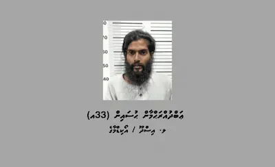 ޕާކްކޮށްފައިހުރި ވެހިކަލްތަކަކުން ވައްކަން ކުރިކަމުގެ ތުހުމަތުގައި މީހަކު ހައްޔަރުކޮށްފި