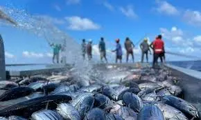 މިދިޔަ ހަފްތާގައި މަސްވެރިންނަށް 4 މިލިޔަނަށް ވުރެ ގިނަ ރުފިޔާ ދޫކޮށްފި