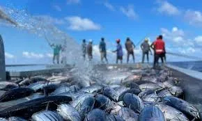 މިދިޔަ ހަފްތާގައި މަސްވެރިންނަށް 4 މިލިޔަނަށް ވުރެ ގިނަ ރުފިޔާ ދޫކޮށްފި