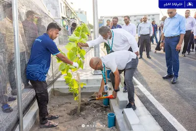 ބޮޑުތަކުރުފާނު މަގުގެ ދެވަނަ ސެގްމަންޓުގެ މަސައްކަތް ނިމުން ފާހަގަ ކުރުމަށް ގަސް އިންދުމުގެ ހަރަކާތެއް!