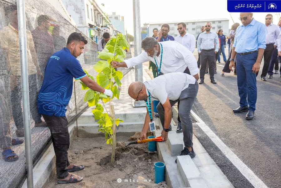 ބޮޑުތަކުރުފާނު މަގުގެ ދެވަނަ ސެގްމަންޓުގެ މަސައްކަތް ނިމުން ފާހަގަ ކުރުމަށް ގަސް އިންދުމުގެ ހަރަކާތެއް!