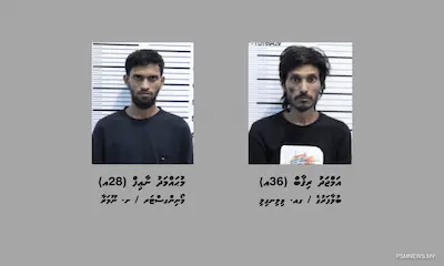 ގިނަ އަދަދެއްގެ މަސްތުވާތަކެއްޗާއެކު މާލެއިން 2 މީހަކު ހައްޔަރަށް