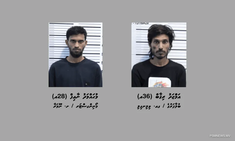 ގިނަ އަދަދެއްގެ މަސްތުވާތަކެއްޗާއެކު މާލެއިން 2 މީހަކު ހައްޔަރަށް