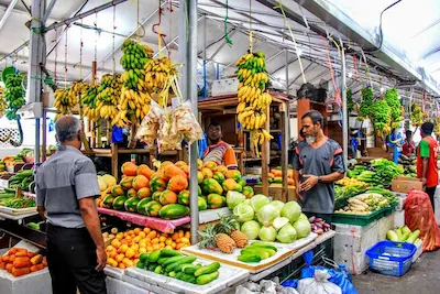 ރަމަޟާން މަހަށް އަމާޒުކޮށް ދަނޑުވެރި އުފެއްދުންތައް ވިއްކާނެ ވަގުތީ މާރުކޭޓެއް ގާއިމު ކުރަނީ