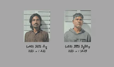 ދުވާފަރަށް މަސްތުވާތަކެތި އެތެރެކުރަން އުޅުނު 2 މީހަކު ހައްޔަރަށް