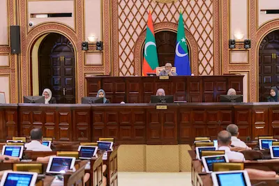 ސިނގިރޭޓުގެ ޑިއުޓީ ކުޑަކުރާ ބިލު މަޖިލިހުން ފާސްކޮށްފި