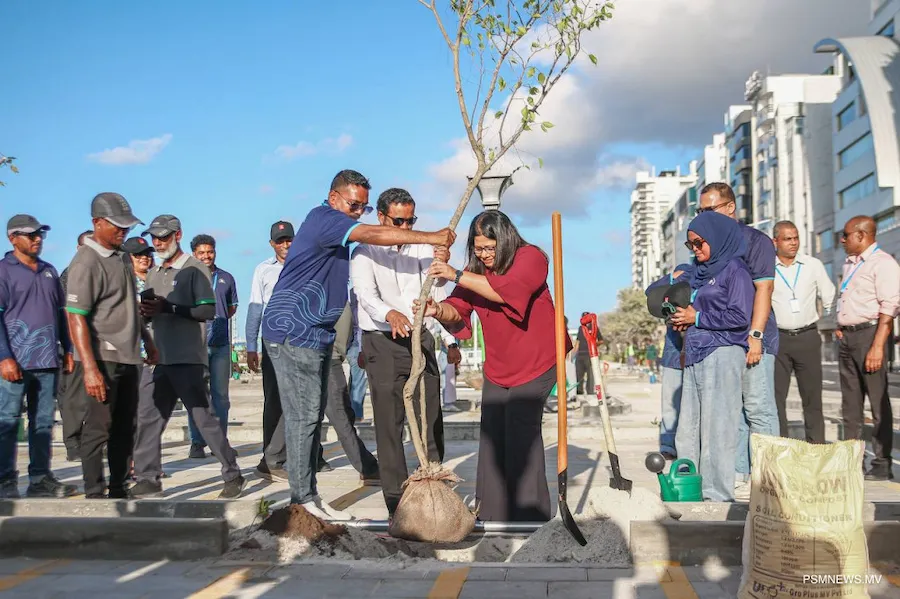 ބޮޑުތަކުރުފާނު މަގު ފެހިކުރުން: މިހާތަނަށް 3،100 އަށްވުރެ ގިނަ ގަސް އިންދައިފި، އިސްކަންދީފައިވަނީ ދިވެހި ރުކަށް،